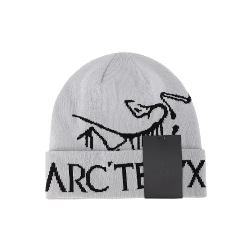 Arcteryx Полиэстер Beanies Унисекс Серый