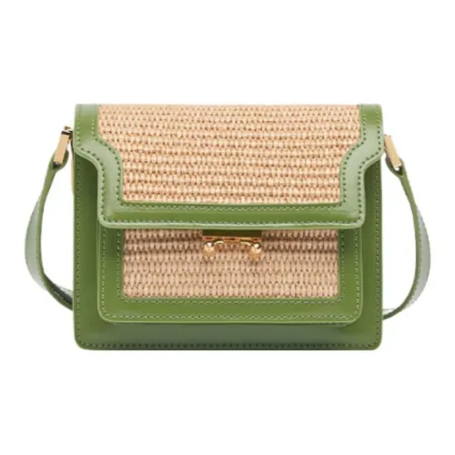 MARNI Основная часть Соломенное плетение Спилок коровьей кожи Сумка через плечо Маленькая Женская Зеленая
