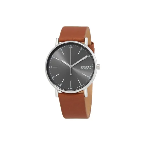 SKAGEN Signed Collection Мужские часы Кварцевый механизм Кожаный ремешок 40 мм Серый циферблат