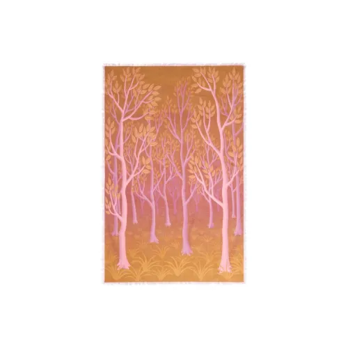ETRO Кашемир Вязаные шарфы Женские