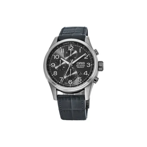 Oris Автоматический Механический Часы для Мужчин 43 мм Серый