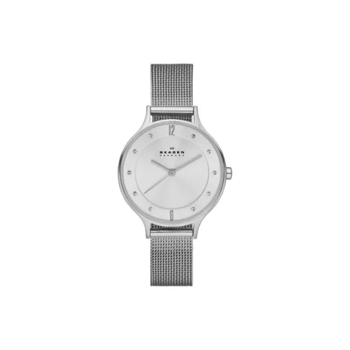 SKAGEN Мужские часы Кварцевый механизм Ремешок из нержавеющей стали 30 мм Серебристый циферблат