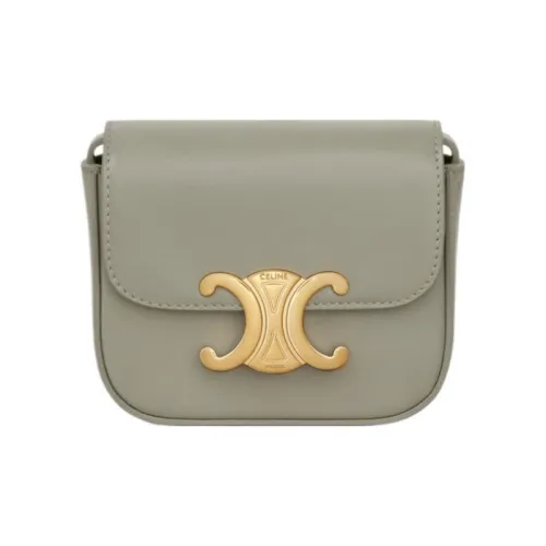 CELINE Claude Блестящая сумка через плечо из коровьей кожи мини женская серая и зеленая