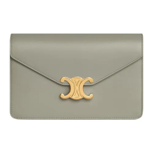 CELINE Margo Блестящий Корова Кожа Сумка через плечо Кошелек Мини Женский Серый Зеленый