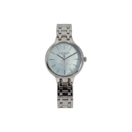 COACH Женские часы Кварцевый механизм корпус из нержавеющей стали ремешок 34 мм цветной циферблат матовый жемчужный
