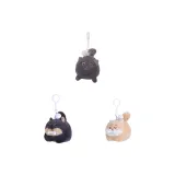 Кошка (черная), щенок (черный), щенок (желтый)