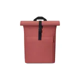 Гибискус, розовый цвет, маленький размер