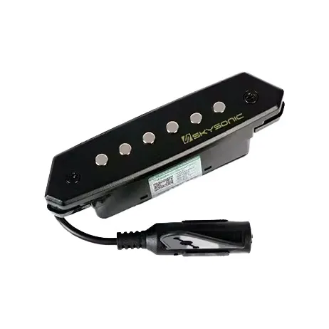 Приемник Skysonic