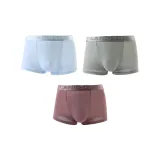 Светло-синий / Светло-зеленый / Камео-коричневый