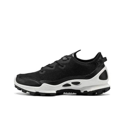 Ecco Striding C Low Топ Повседневная обувь Мужская Черная