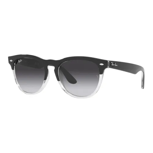 RayBan Plastic OVAL SUNGLASSES Унисекс Черный