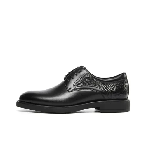 STEVE MADDEN Туфли Низкие Мужские