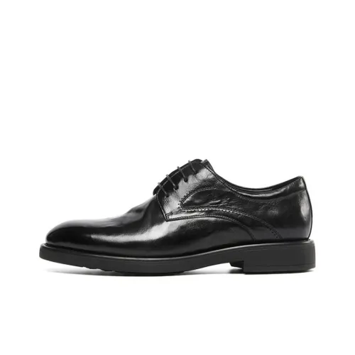 STEVE MADDEN Туфли Низкие Мужские