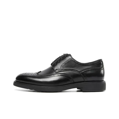 STEVE MADDEN Туфли Низкие Мужские