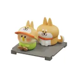 Подтвержденная версия - Companion Day (Распакованный)