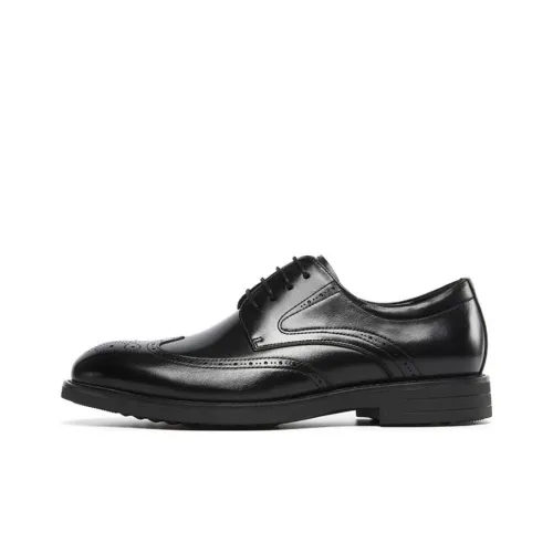 STEVE MADDEN Туфли Низкие Мужские