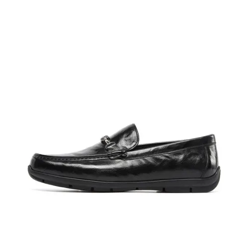 STEVE MADDEN Лоферы 2,5CM Мужской