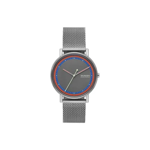 SKAGEN Кварцевый механизм Мужские часы 40 мм Серый