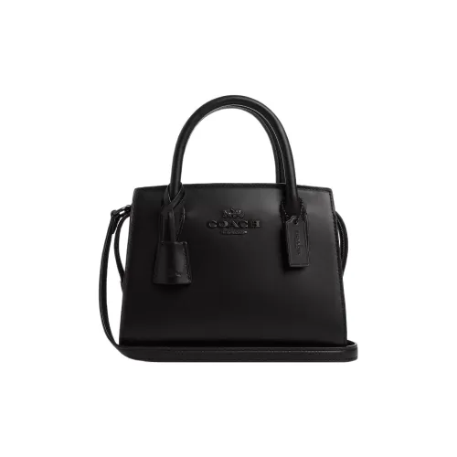 COACH ANDREA CARRYALL Телячья кожа Сумка через плечо Сумка Маленькая Женская Черная