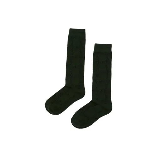 JW Anderson Зеленые Женские Носки MID до икры