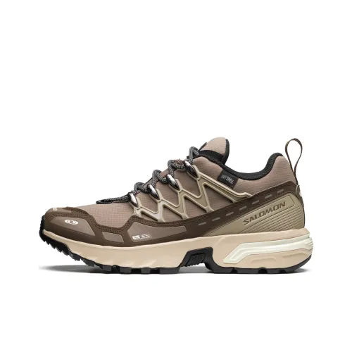 SALOMON ACS + CSWP Slip-Resistant Low Top Streetwear Унисекс Тауповый