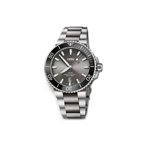 Oris Автоматический Механический Часы для Мужчин 43,5 мм Серый