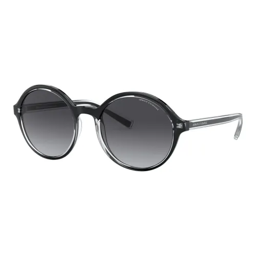 ARMANI EXCHANGE Пластик OVAL SUNGLASSES Женские Черный