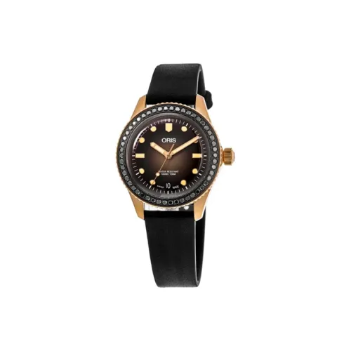 Oris Автоматический Механический Movement Унисекс Коллекция Diving Watch 36 мм Коричневый