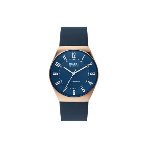 SKAGEN Наручные часы Солнечный кварцевый механизм Кожаный ремешок Синий циферблат Мужские часы