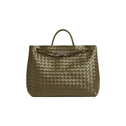 Bottega Veneta Andiamo series Овчина Сумка через плечо Сумка Большая Мужская Грязно-коричневый