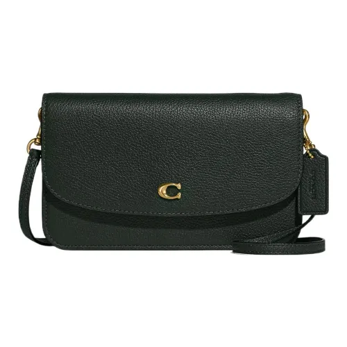 COACH Hayden Полированная Галька Кожа Конверт Сумка Сумка через плечо Маленькая Женская Латунь Amazon Зеленая