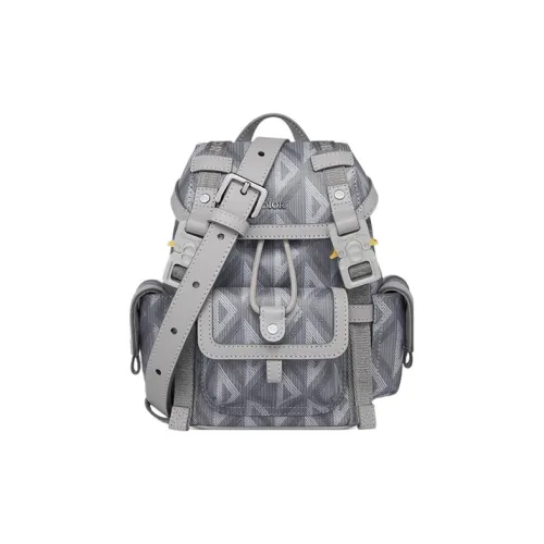 DIOR Hit The Road Коровья кожа с цветным холстом Сумка через плечо Мини DIOR Серый