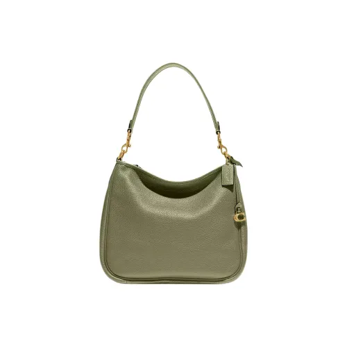 COACH Cary Кожа Сумка-хобо Сумка Сумка через плечо Большая Женская Латунь And Лесной мшистый