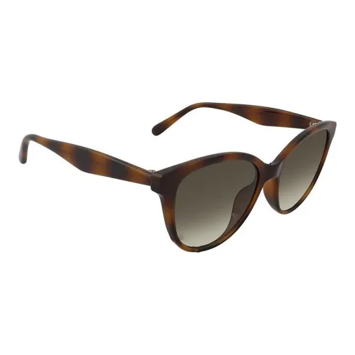 FERRAGAMO Пластик Butterfly Sunglasses Women's Tortoiseshell
