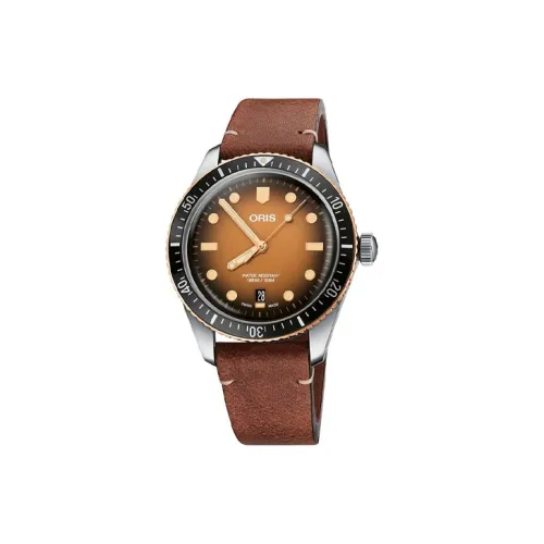 Oris Автоматический Механический Механизм Мужские Часы 40 мм Кофейный