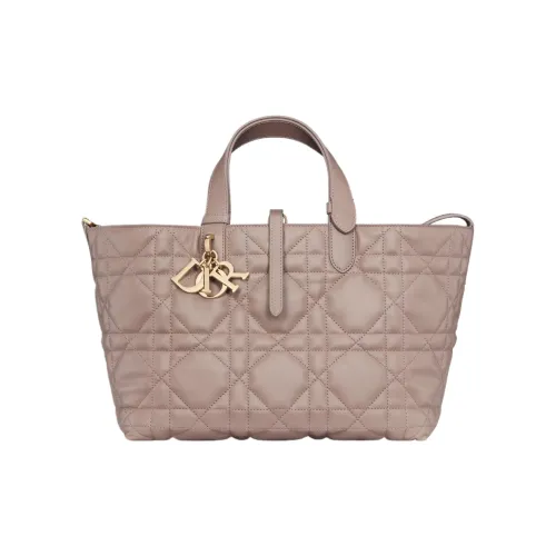 DIOR Toujours Корова Кожа Сумка Indigenous Tote Сумка Сумка для покупок Сумка через плечо Сумка среднего размера Женская Теплая Серый Коричневый