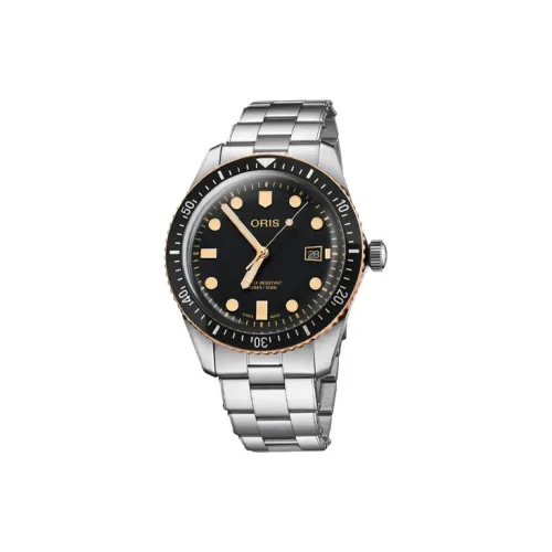 Oris Автоматический Механический Механизм Мужские Часы 42 мм Черный
