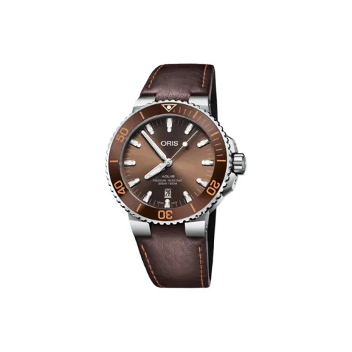 Oris Diving Collection Автоматический Механический Механизм Мужские Часы Часы 43,5 мм Коричневый Циферблат Часы Корпус из Нержавеющей Стали