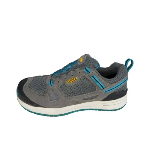 KEEN Springfield Амортизация Износостойкие Низкие Кроссовки для Бега Женские Синие Серые