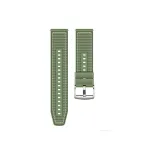 Ель Зеленая