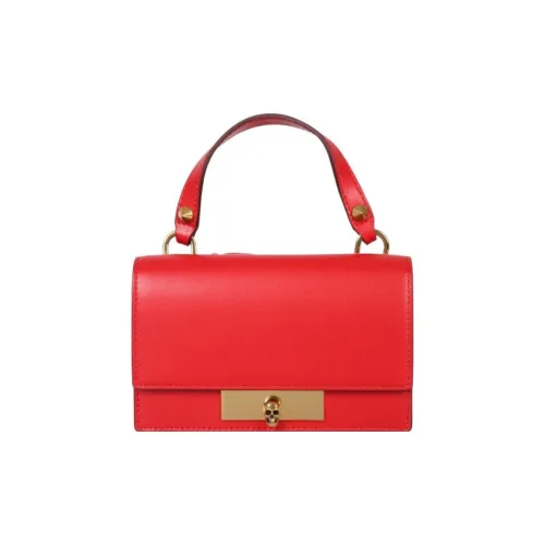 Alexander McQueen Сумки Женские