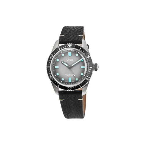 Oris Автоматический Механический Часы для Мужчин 40 мм Серый