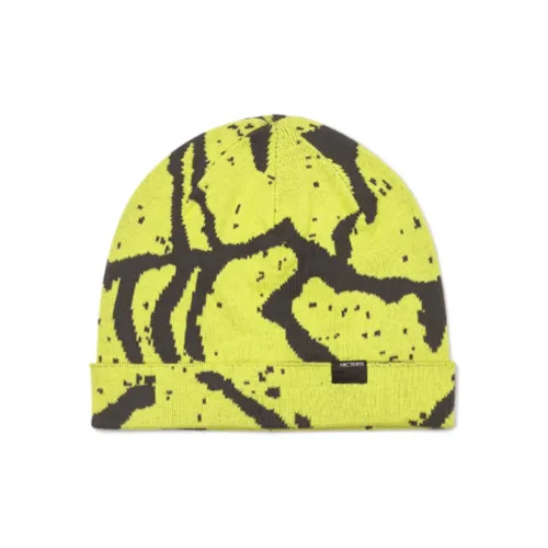 Arcteryx Шапки-бини Унисекс Желтый