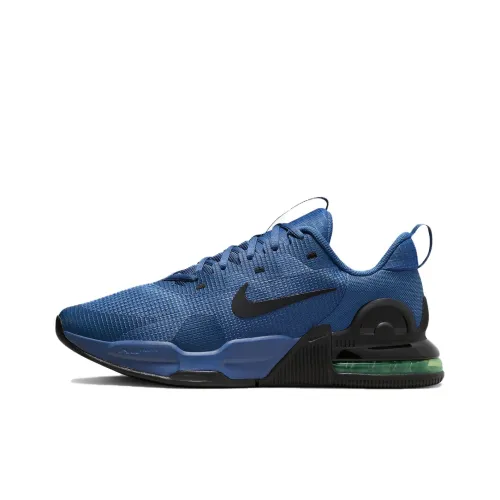 Nike Air Max ALPHA Trainer 5 Low Топ Кроссовки для тренировок Мужской Синий