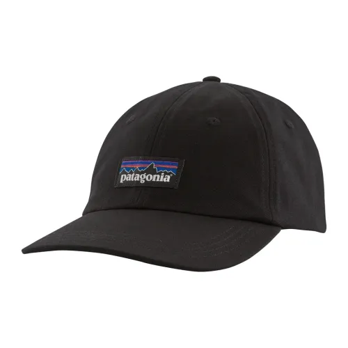 Patagonia Organic Cotton Кепки Мужские