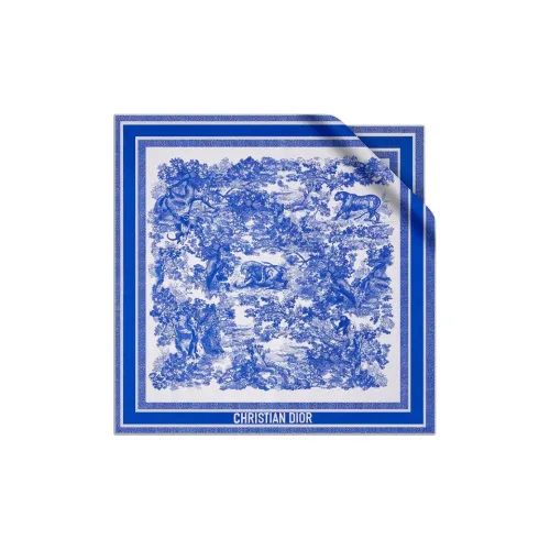 DIOR Шелковые шарфы Унисекс