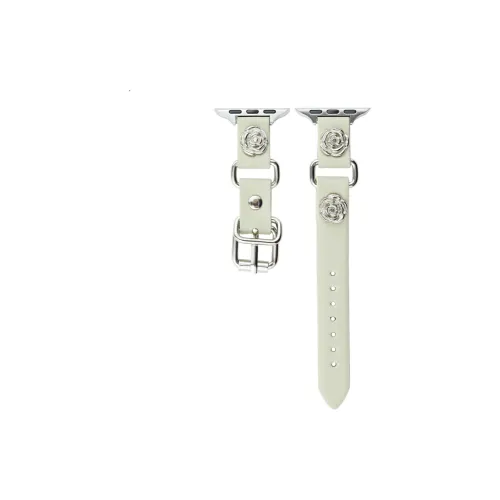 CHENSONG Ремешок Apple Совместимость Металл 49 мм