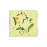 Бежево-желтый