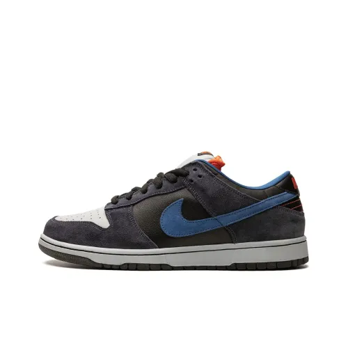nike Dunk SB Patagonia Low Топ Скейтборд Кроссовки Мужские Серые