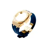 Золотой чехол, синий ремешок, набор одежды, инструменты.